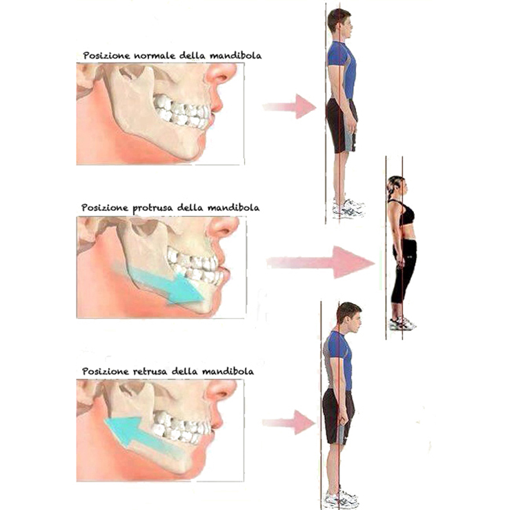 ortodonzia posizione schiena