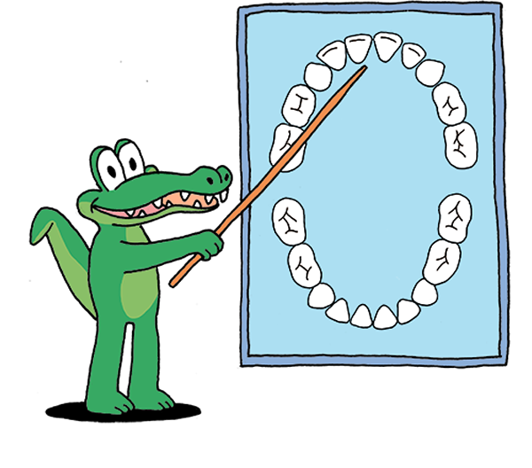 Camillo spiega i denti ai bambini
