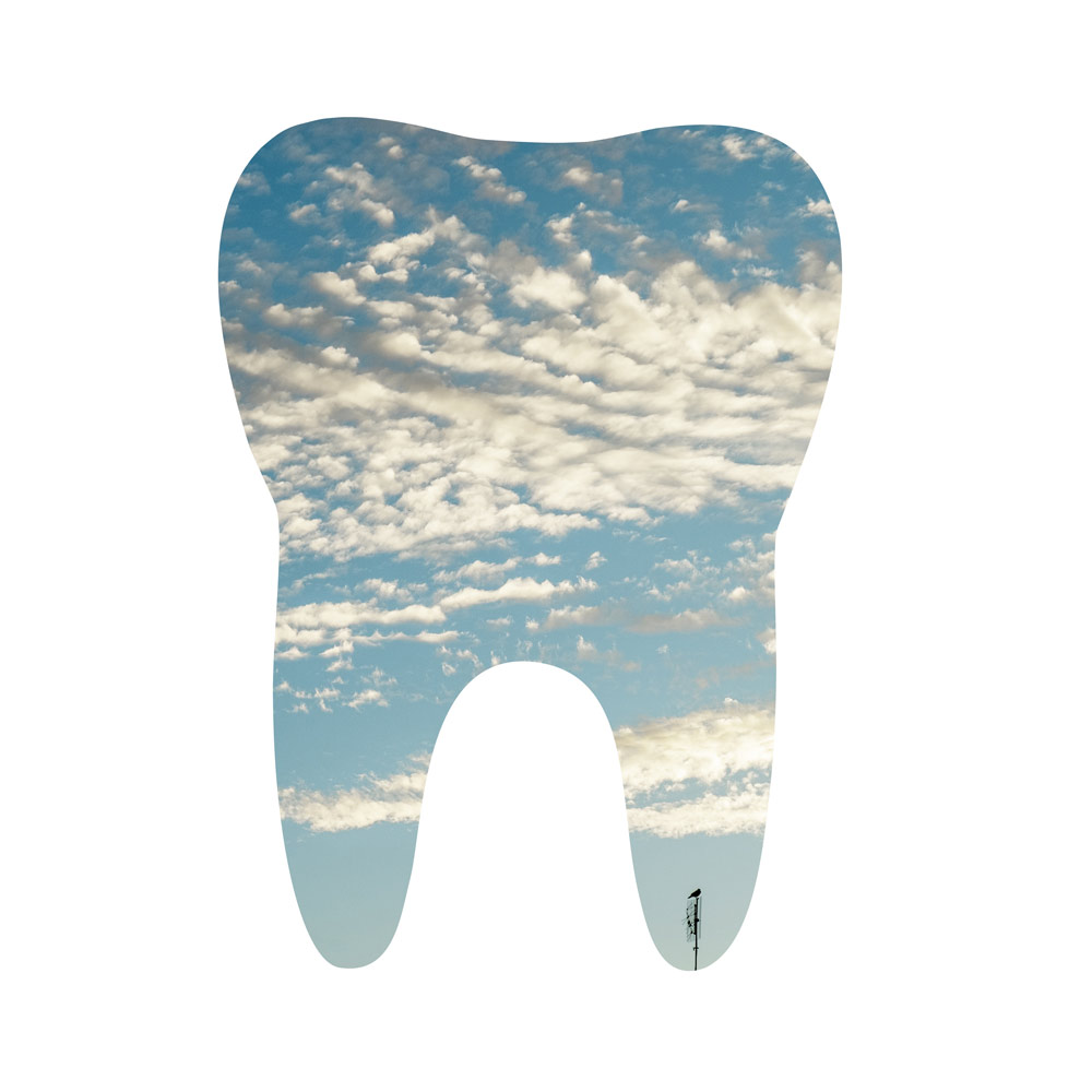 Dentes, pezzo della mostra 2